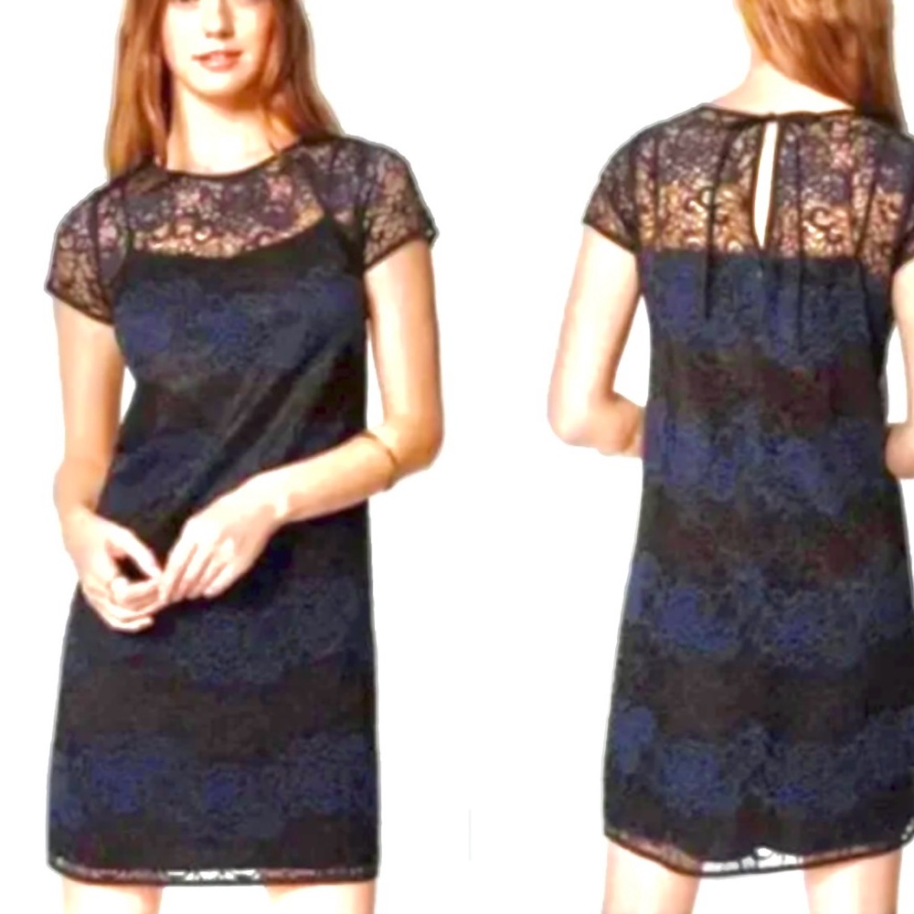 Loft Ann Taylor Elegant Blue & Black Lace Dress Loft By Short Sleeve Siz…